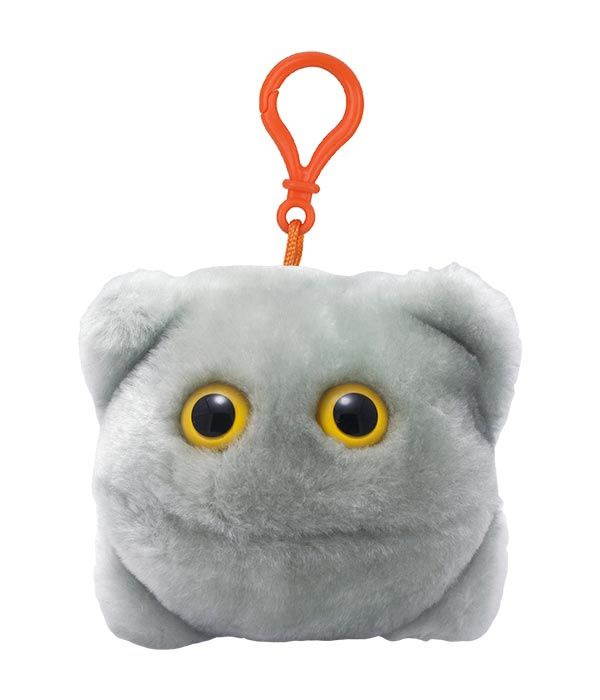 Norovirus key chain