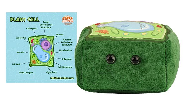 Plant Cell plush cluster