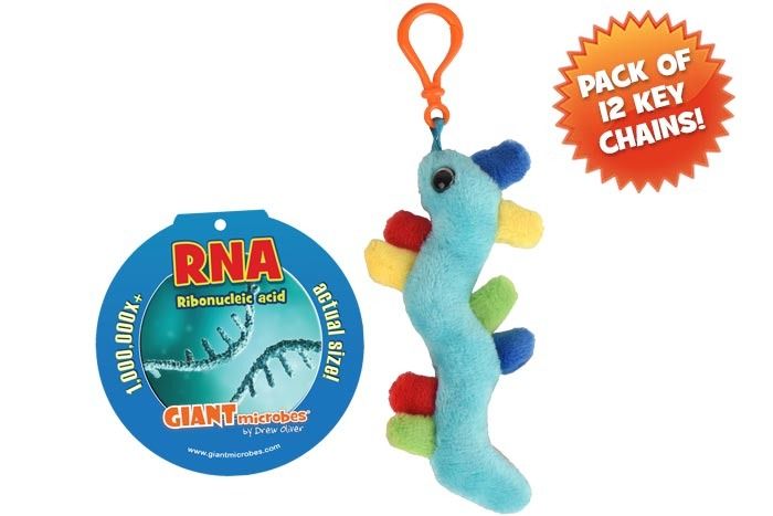 RNA key chain 12 pack