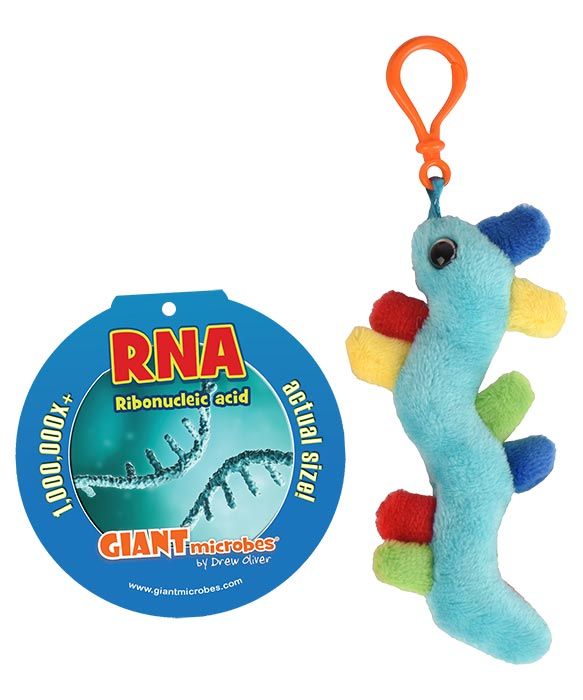 RNA key chain with tag