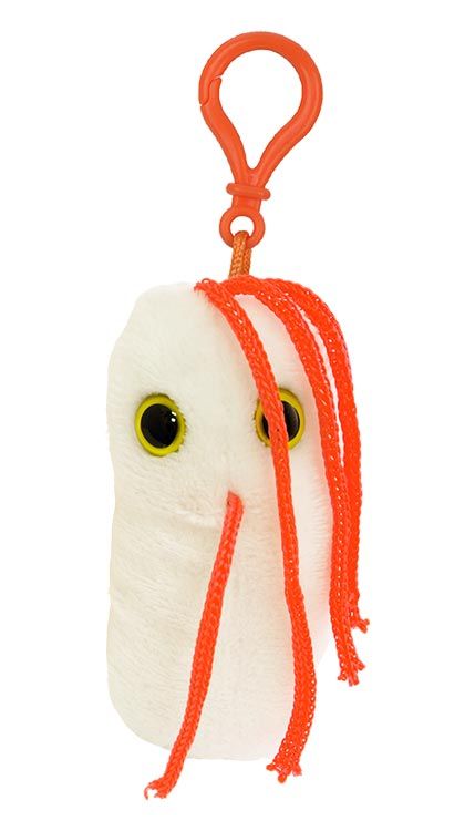 Salmonella key chain