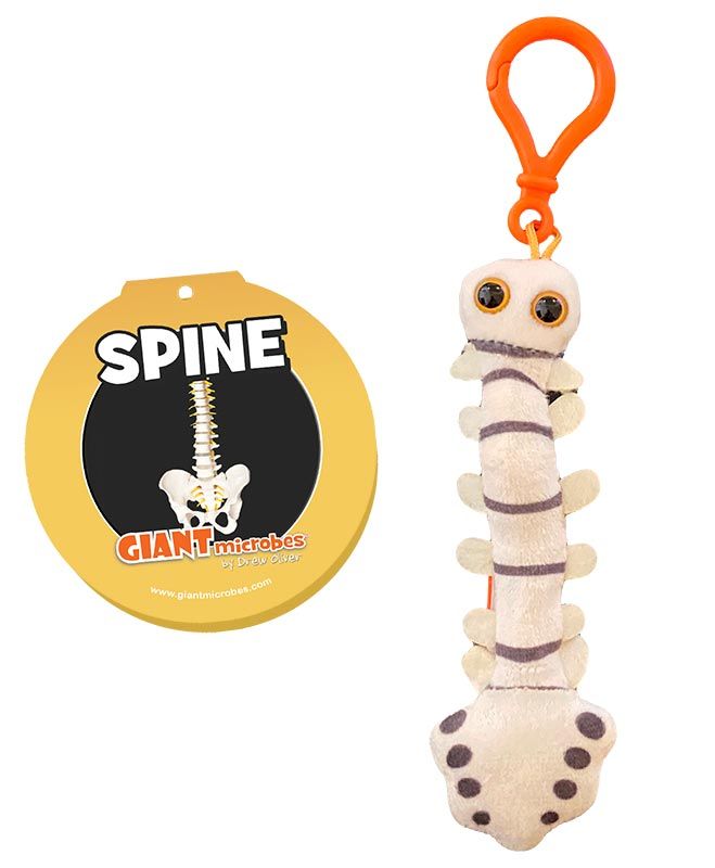 Spine key chain cluster