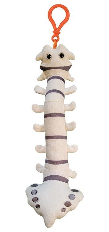 Spine plush key chain