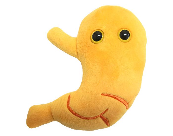 Stomach plush doll