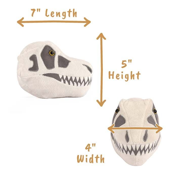 T. rex dimensions