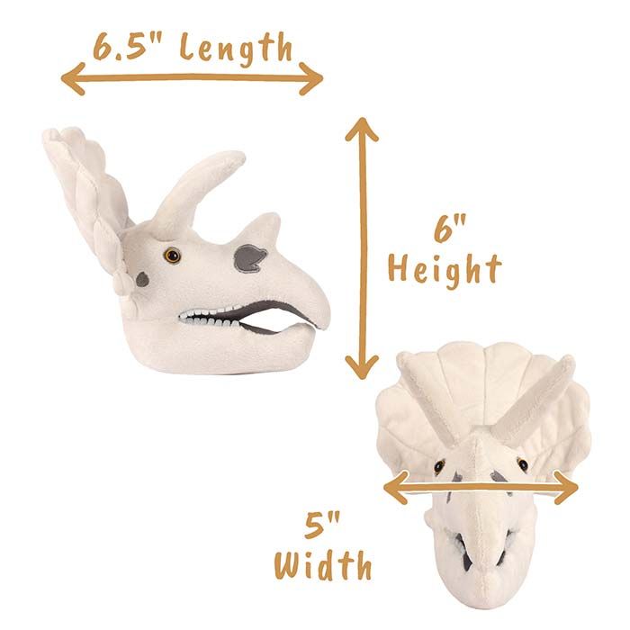 Triceratops dimensions