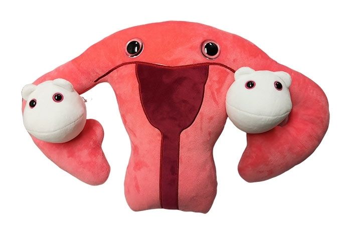 giant microbes uterus