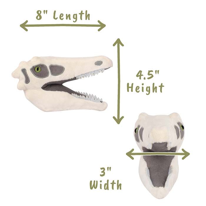 Velociraptor dimensions