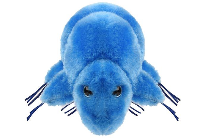 https://www.giantmicrobes.com/us/media/catalog/product/cache/ff90142cc55f9ca12447aeed7184b263/w/a/waterbear-front_1.jpg
