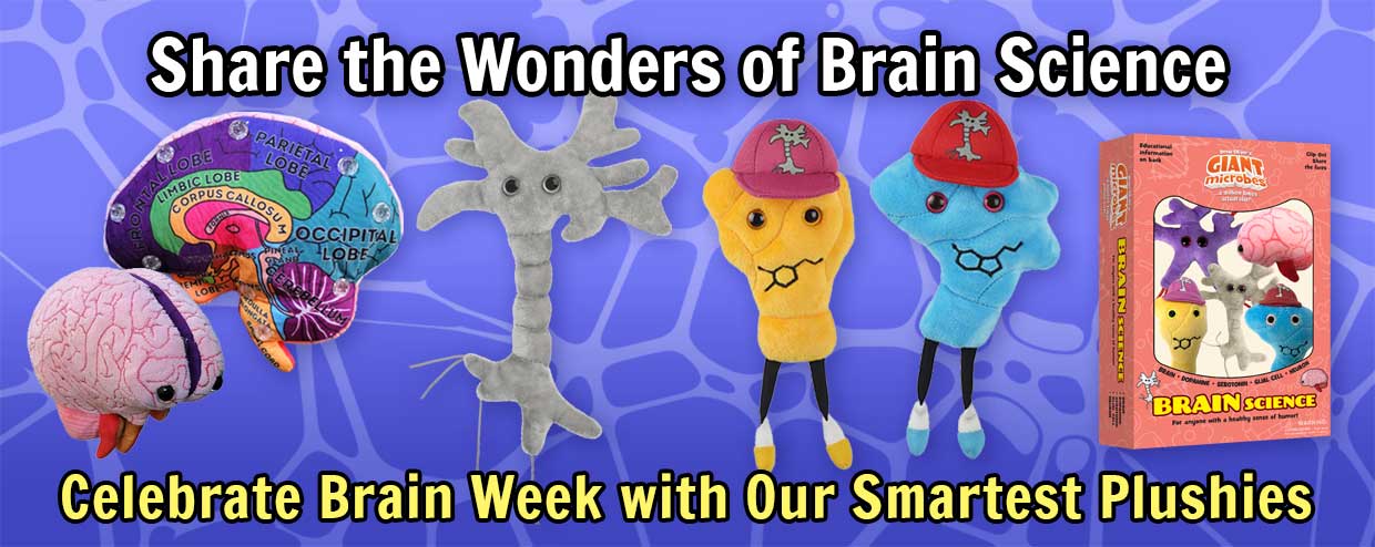 Celebrate Brain Week with Our Smartest Plushies