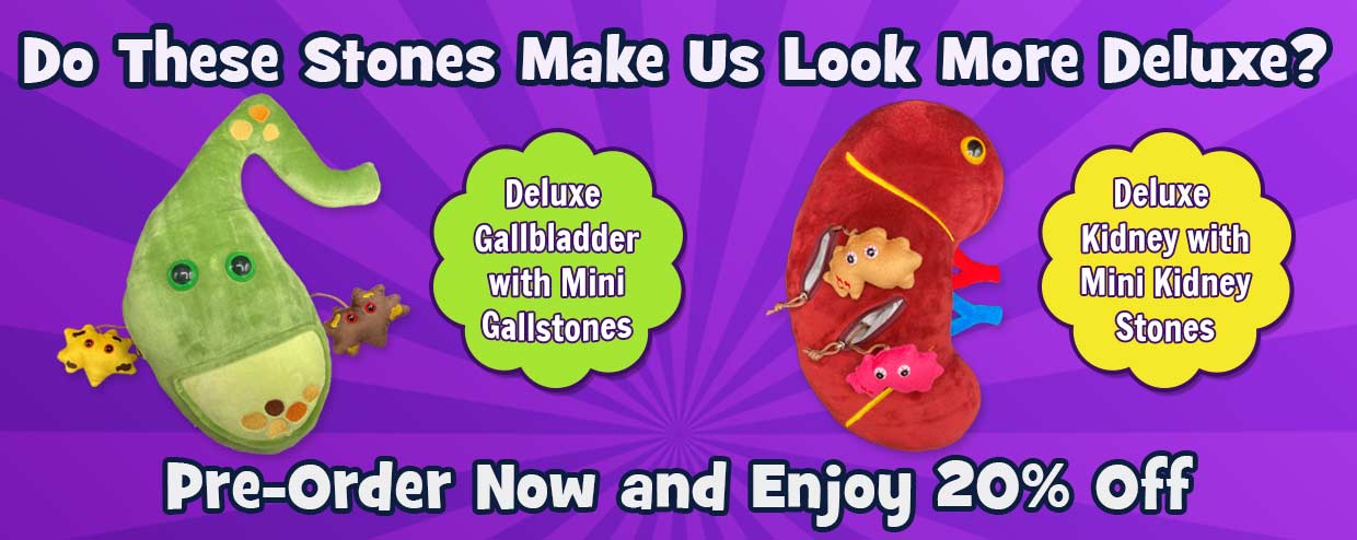 New! Deluxe Gallbladder and Deluxe Kidney Available for Pre-Order