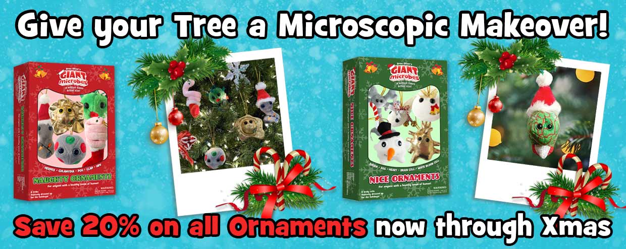 Save 20% on all Ornaments now through Xmas