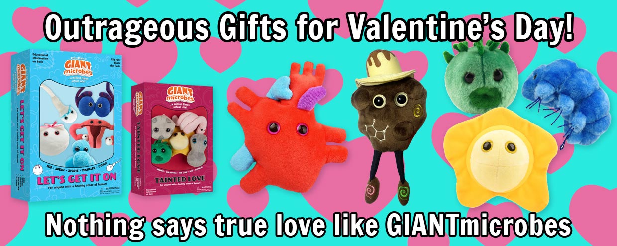 Outrageous Gifts for Valentine’s Day!