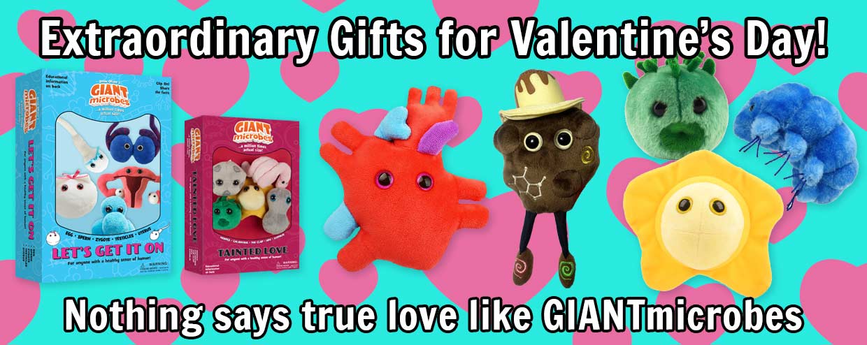 Extraordinary Gifts for Valentine’s Day!