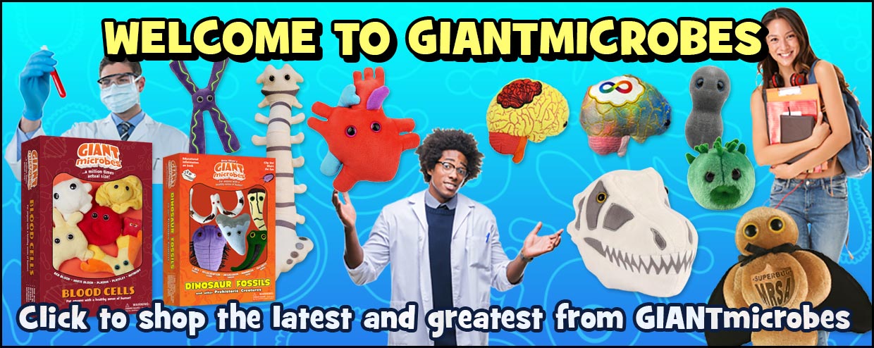 Shop the Latest and Greatest from GIANTmicrobes